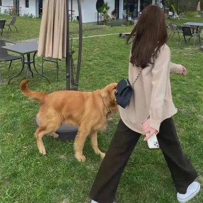 拳击