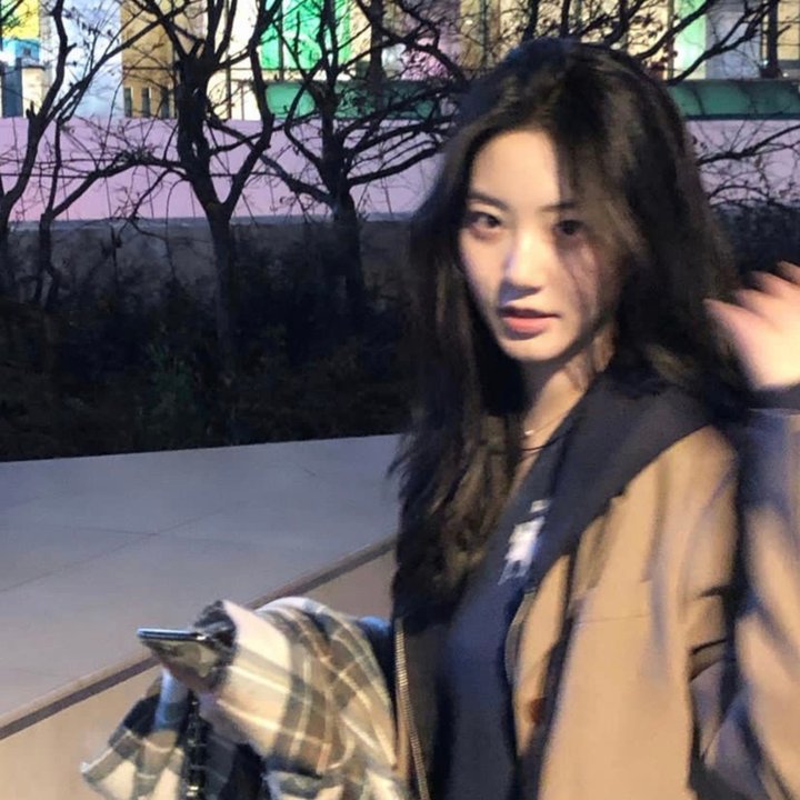 月陨回声